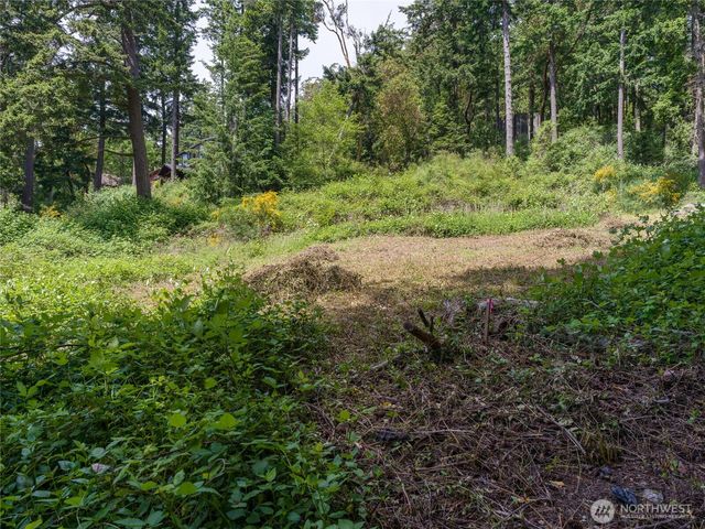 147 Geer Lane, Orcas Island, WA 98245
