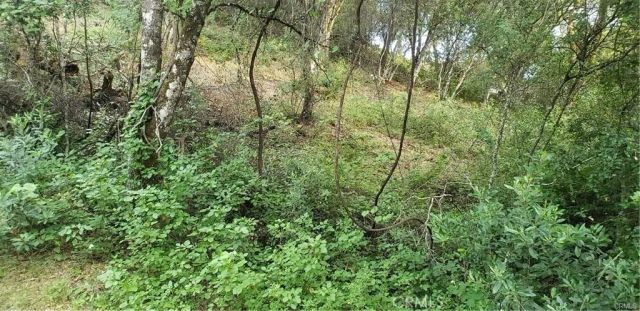 7248 High, Nice, CA 95464