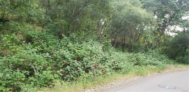 7248 High, Nice, CA 95464