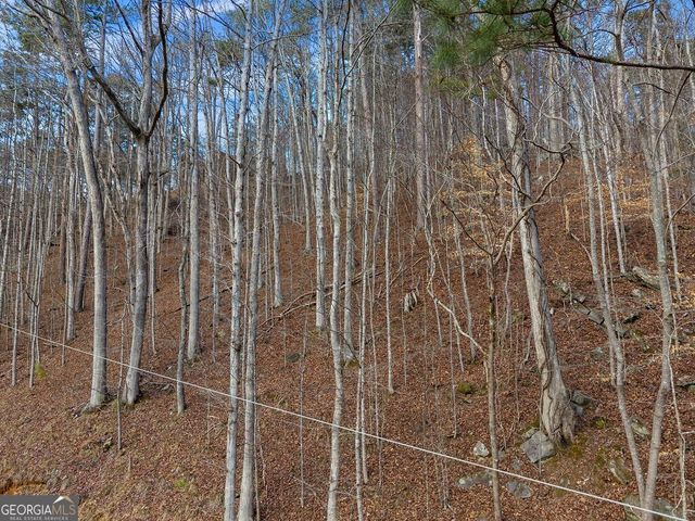 LOT 2965 Monticello Drive, Ellijay, GA 30540