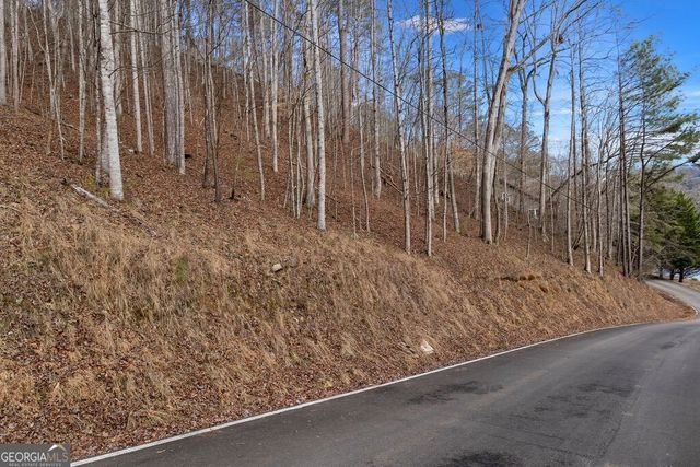 LOT 2965 Monticello Drive, Ellijay, GA 30540