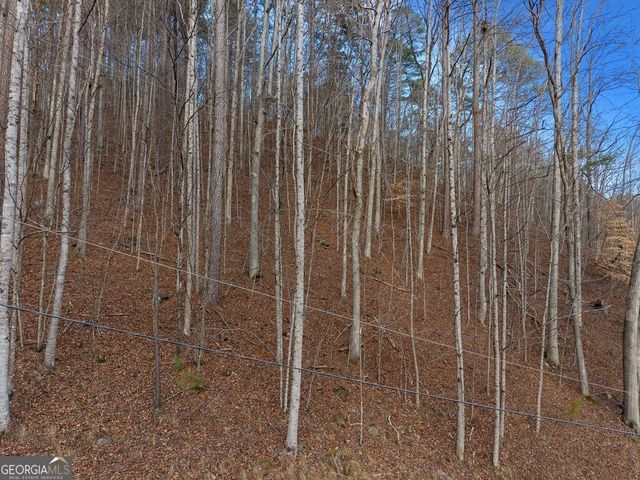 LOT 2965 Monticello Drive, Ellijay, GA 30540
