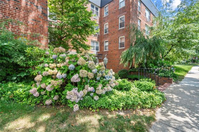 185 South Midddle Neck Road 1P, Great Neck, NY 11021