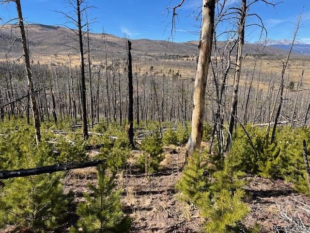 1741 Mathlide Pl, Fort Garland, CO 81133