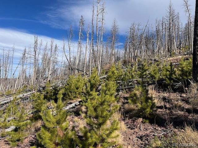 1741 Mathlide Pl, Fort Garland, CO 81133