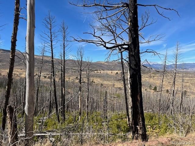 1741 Mathlide Pl, Fort Garland, CO 81133