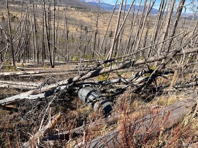 1741 Mathlide Pl, Fort Garland, CO 81133