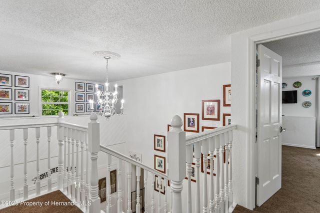20424 Marguerite Road, Brooksville, FL 34601