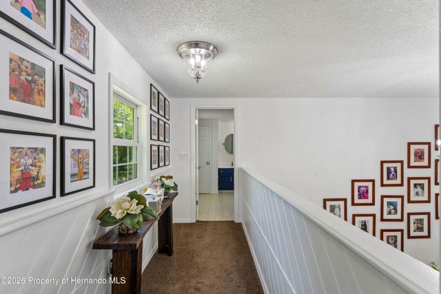 20424 Marguerite Road, Brooksville, FL 34601