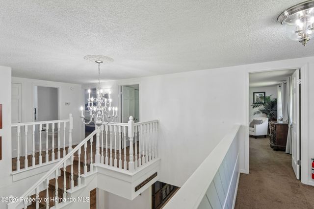 20424 Marguerite Road, Brooksville, FL 34601