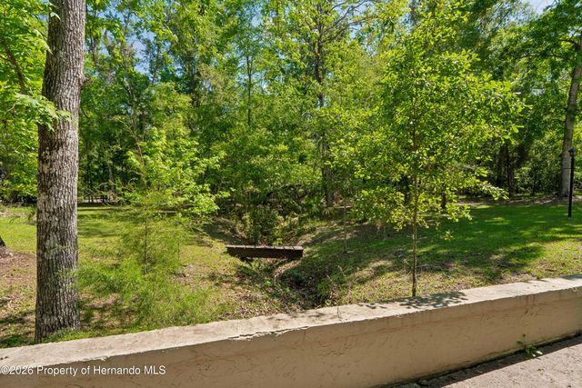 20424 Marguerite Road, Brooksville, FL 34601