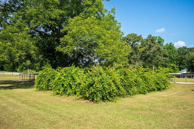 13 Marion Young Court, Aiken, SC 29801
