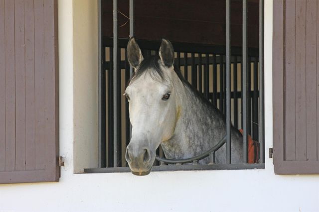 3790 Hanover Circle, Loxahatchee, FL 33470