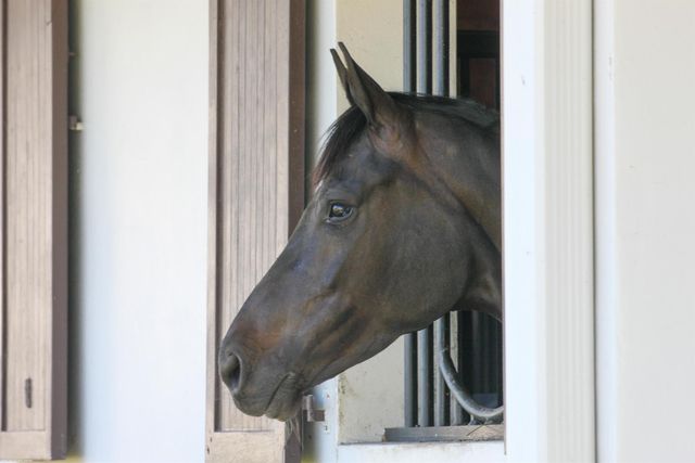 3790 Hanover Circle, Loxahatchee, FL 33470