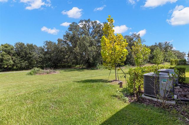 10324 TRUMPET HONEYSUCKLE WAY, San Antonio, FL 33576