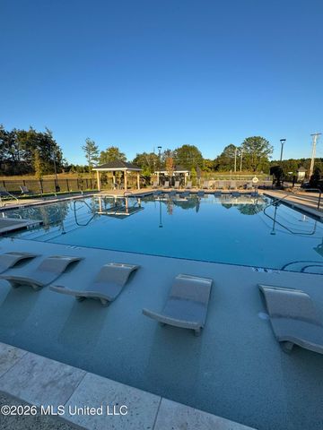 69 Spirit Dance Drive, Byhalia, MS 38611