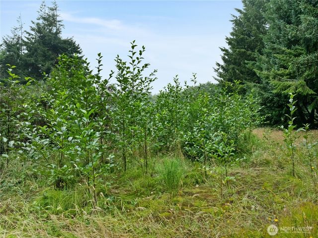 46 Sunset Boulevard, Hoquiam, WA 98550