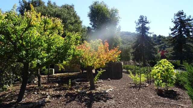 529 Corral De Tierra Road, Salinas, CA 93908