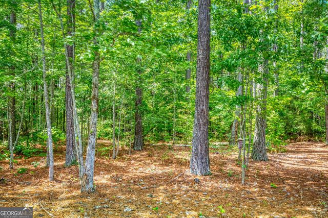 2529 Shockley Springs Drive, Monroe, GA 30656
