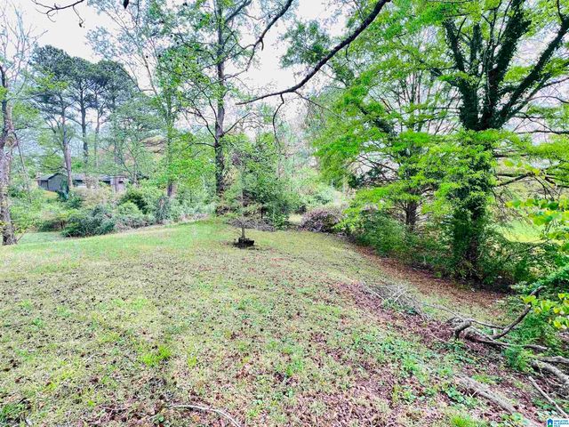 809 CEDAR SPRINGS ROAD, Weaver, AL 36277