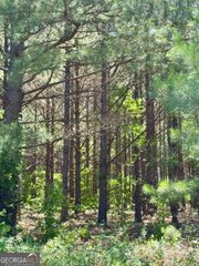 0 Sheppard Road, Tennille, GA 31089