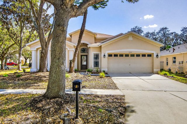 6002 MARTINGLADE PLACE, Lithia, FL 33547