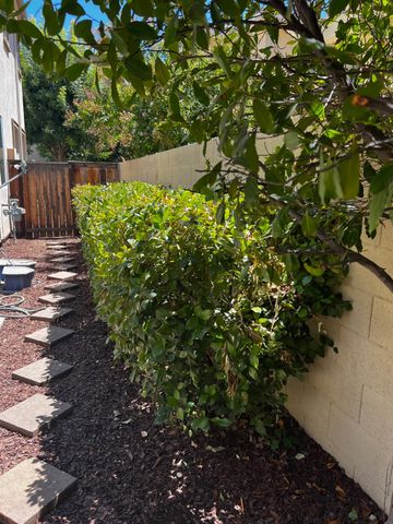 7037 N Creative Drive, Fresno, CA 93711