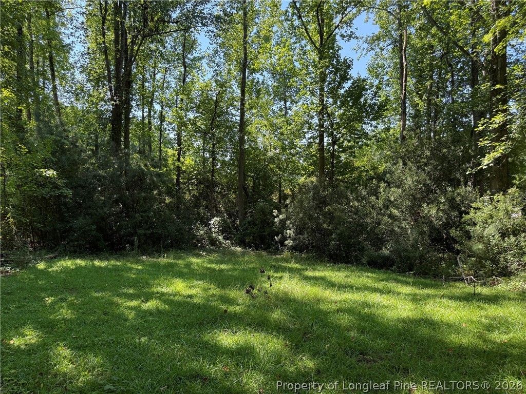 700 Anderson Creek Drive, Spring Lake, NC 28356 — photo 4