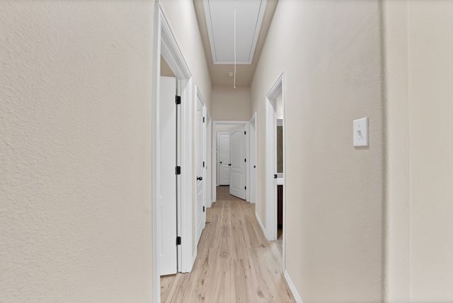 8118 La Frontera Trail, Arlington, TX 76002