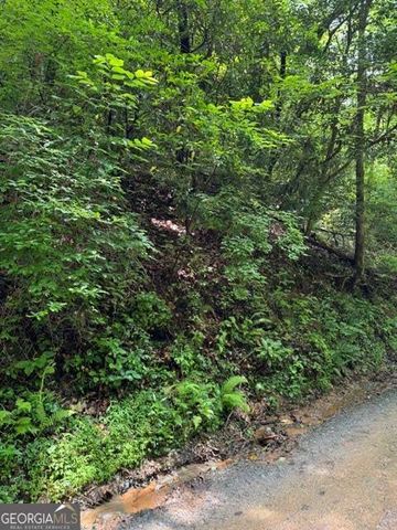 LOT 2 Kells Ridge, Ellijay, GA 30540