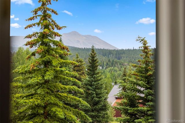 301 N French Street 303, Breckenridge, CO 80424
