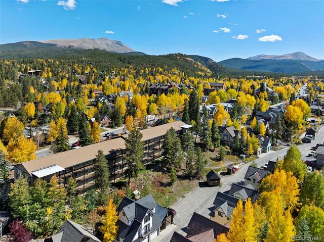 301 N French Street 303, Breckenridge, CO 80424