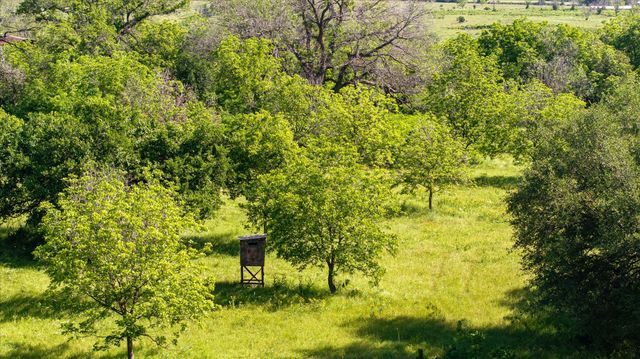 11701 Bowden Road, Lipan, TX 76462