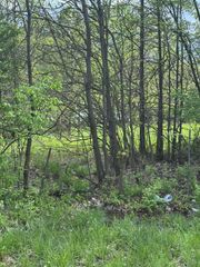 0 Milford Avenue, Lot 36, Columbus, OH 43211