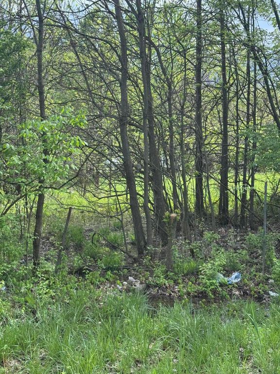 0 Milford Avenue, Lot 36, Columbus, OH 43211