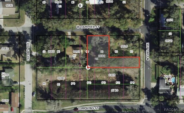 601 W Dampier Street, Inverness, FL 34450