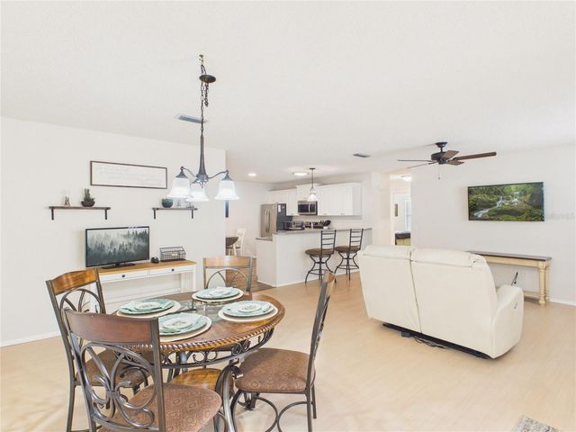 746 ANGELITA AVE, The Villages, FL 32159