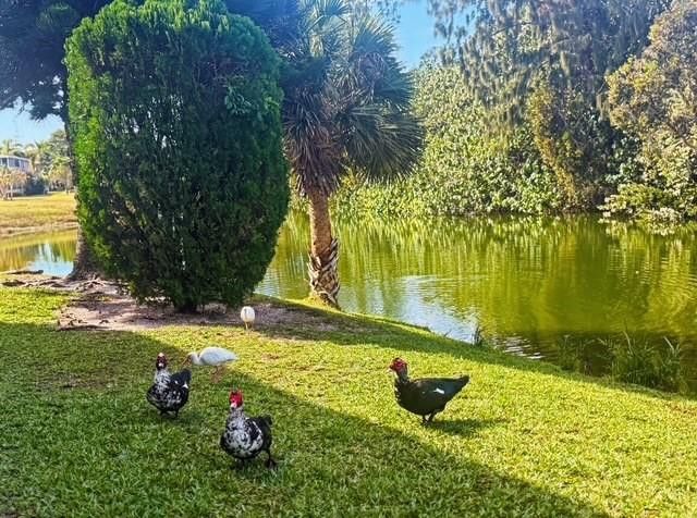 85 Northampton, West Palm Beach, FL 33417