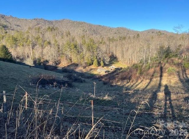 00000 Shelton Laurel Road, Clyde, NC 28721