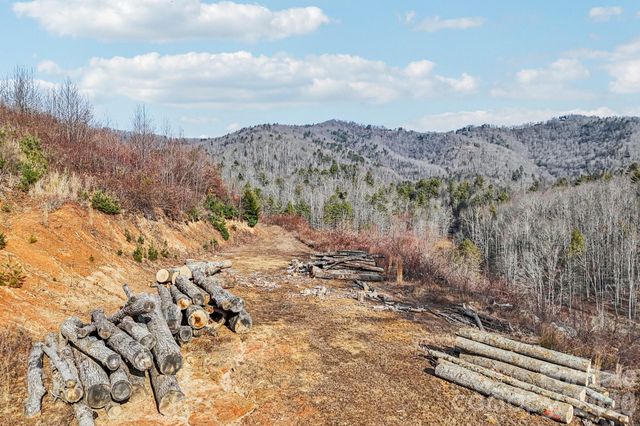 00000 Shelton Laurel Road, Clyde, NC 28721