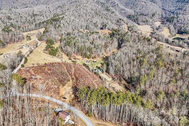 00000 Shelton Laurel Road, Clyde, NC 28721