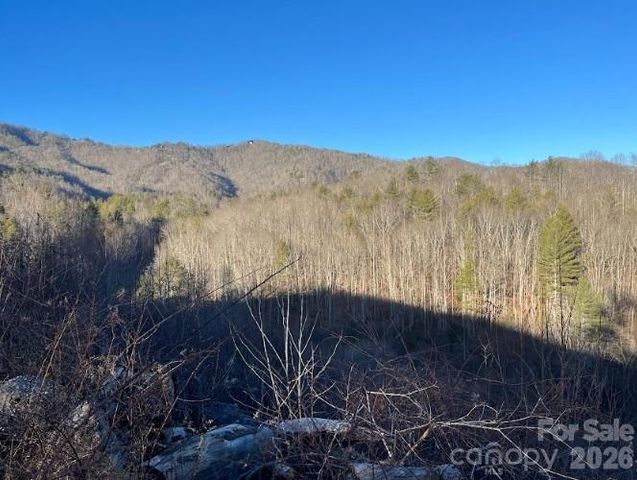 00000 Shelton Laurel Road, Clyde, NC 28721