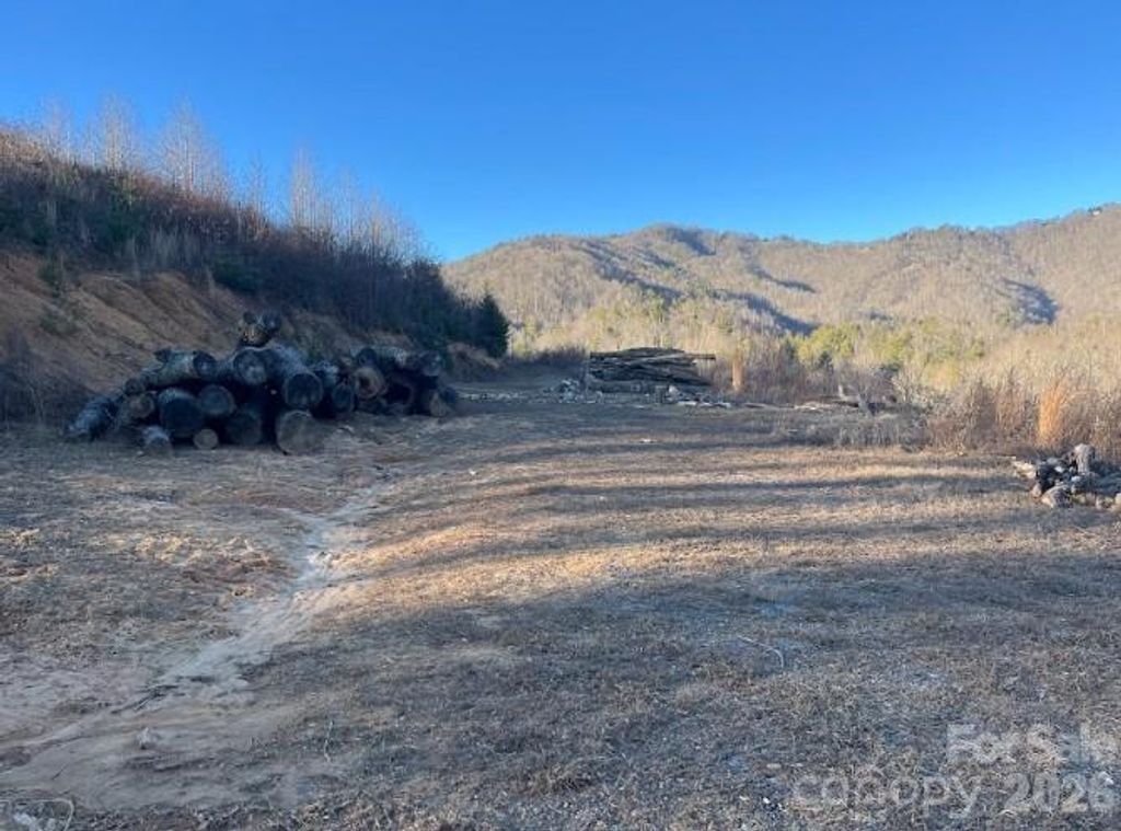 00000 Shelton Laurel Road, Clyde, NC 28721