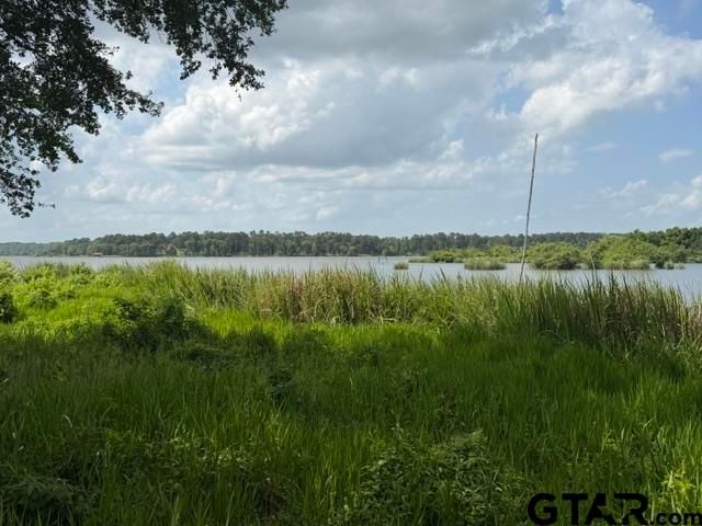 3196 Shadow Pine Dr, Larue, TX 75770