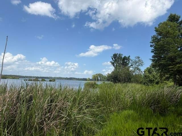 3196 Shadow Pine Dr, Larue, TX 75770