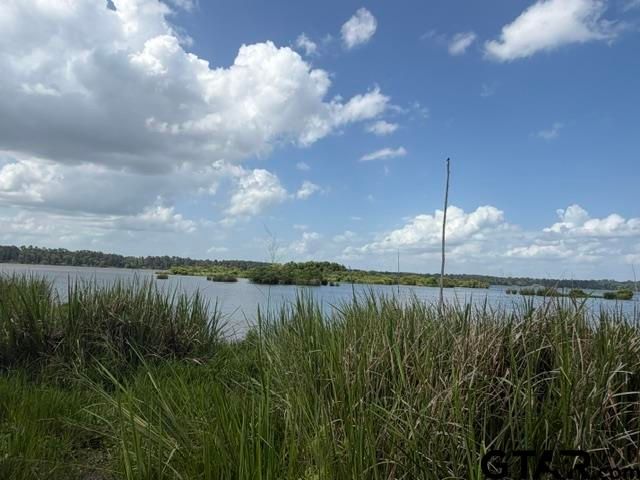 3196 Shadow Pine Dr, Larue, TX 75770