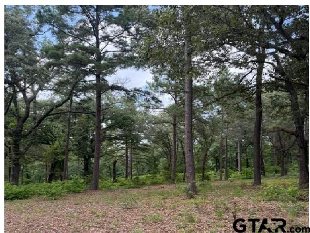 3196 Shadow Pine Dr, Larue, TX 75770