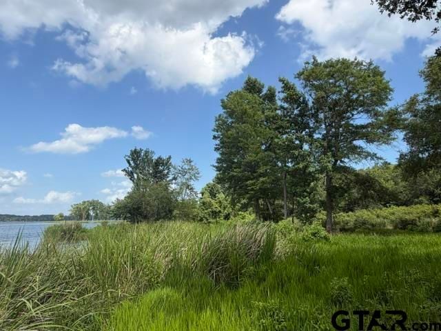3196 Shadow Pine Dr, Larue, TX 75770