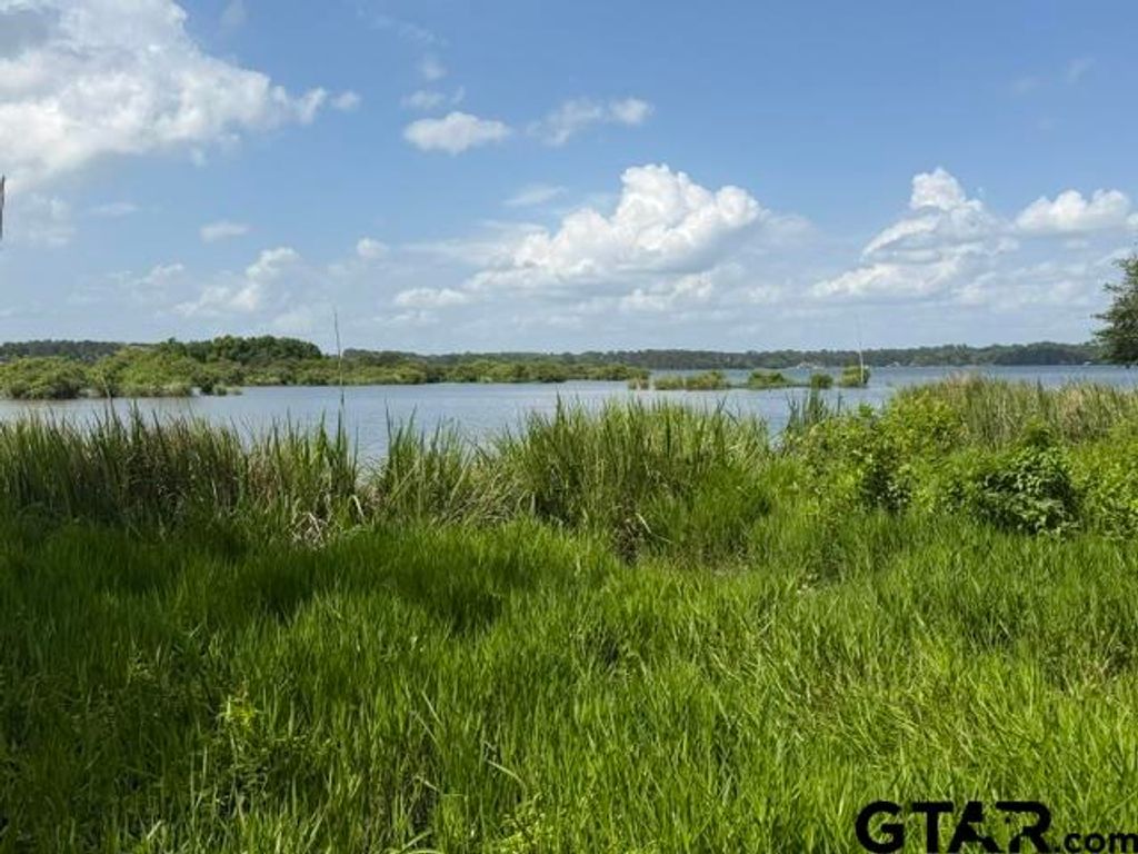 3196 Shadow Pine Dr, Larue, TX 75770