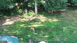 3214 MEADOW VALLEY DR, Abingdon, MD 21009